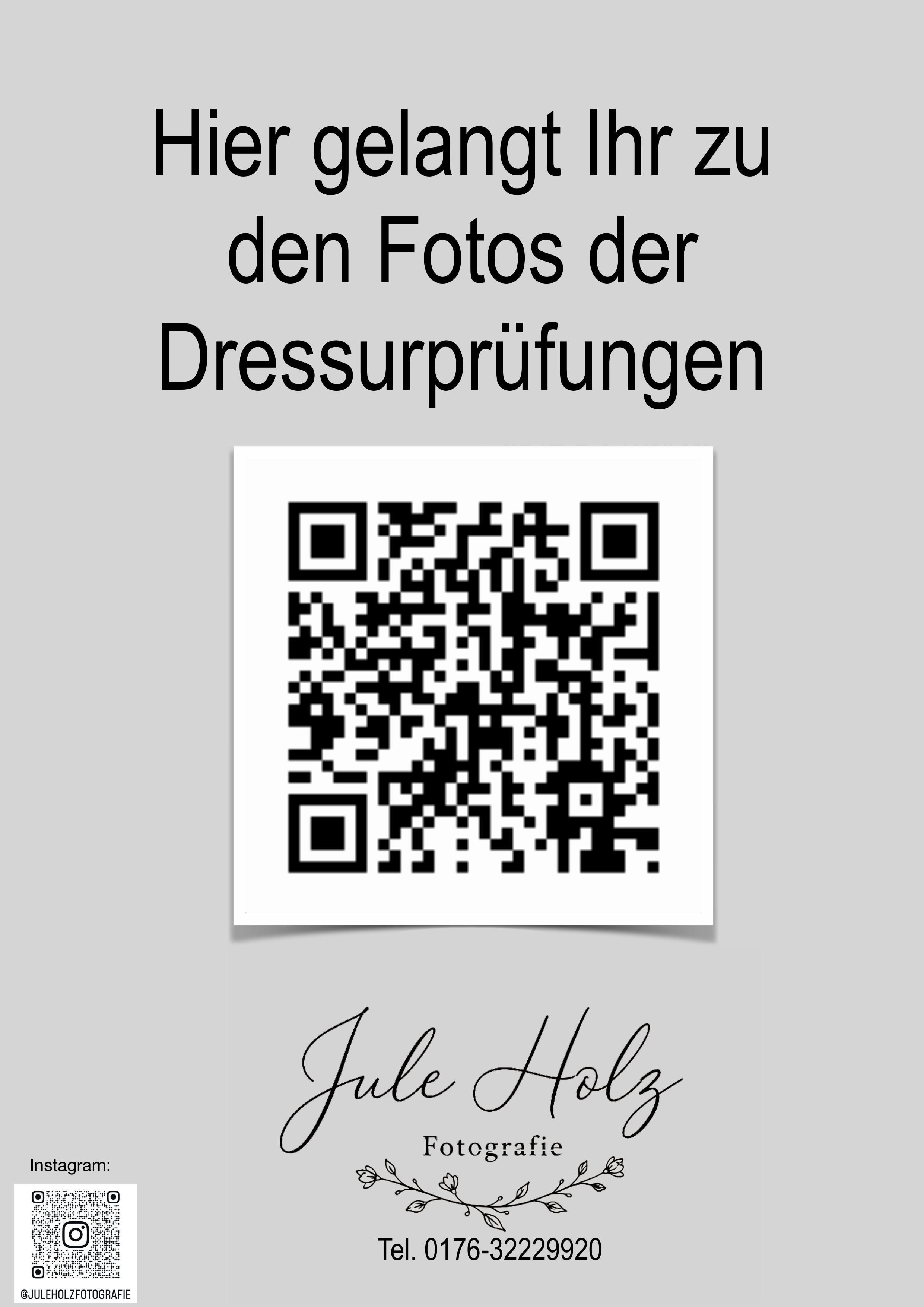 Turnier Dingerdonn QR Code PDF